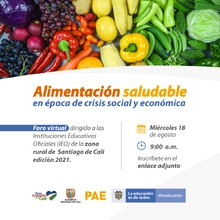 Foro virtual - Alimentación saludable en época de crisis social y económica