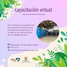 Capacitación virtual