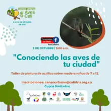Taller virtual: Conociendo las aves de tu ciudad