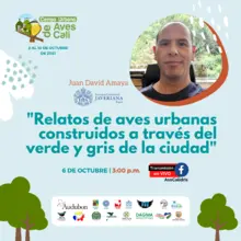 Conferencia: Relatos de aves urbanos construidos a través del verde y gris de la ciudad.