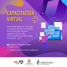 Capacitación virtual