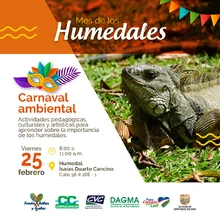 Carnaval Ambiental