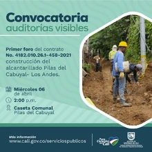 Convocatoria auditorías visibles