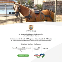 Comité del programa de sustitución de tracción animal