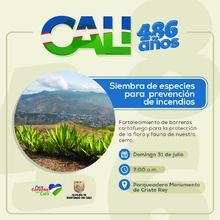 Siembra de especies para prevención de especies