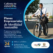 Planes empresariales de movilidad sostenible