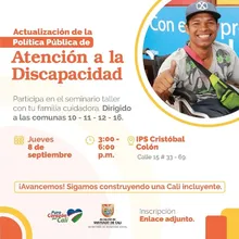 Actualización de la Pública de la Atención a la Discapacidad