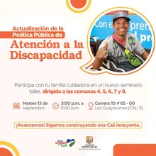 Actualización de la Pública de la Atención a la Discapacidad