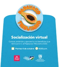 Socialización de información sobre el PAPAYAZO TRIBUTARIO 2022