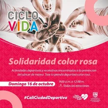 Ciclovida  Solidaridad color rosa