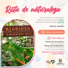 Recorrido Turístico peatonal abierto al público