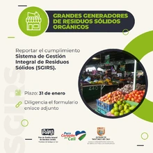 Último plazo para reportar la implementación del SGIRS por los Grandes Generadores de Residuos Sólidos Orgánicos 