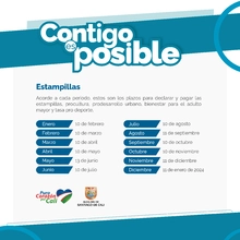 MARZO - Plazo para declaración y pago de estampillas