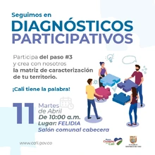 Diagnósticos participativos Felidia