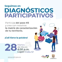 Diagnósticos participativos C.A.L.I 2