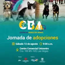 Jornada de adopciones