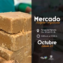 Mercado Asopro-orgánicos 