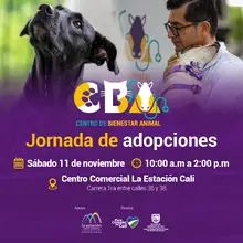 Jornada de adopciones 11 de noviembre 2023  