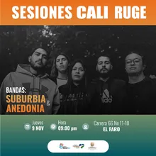 Cali le apuesta al consumo cultural y creativo. 