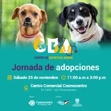 Jornada de adopciones 25 de noviembre 2023  