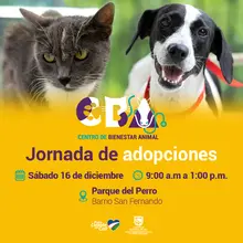 Jornada de adopciones 16 de diciembre 2023  