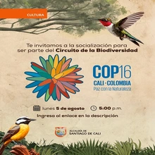 Socialización para ser parte de la agenda cultural del circuito de la Biodiversidad COP16