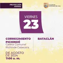 Jornada de esterilización Corregimiento Pichinde
