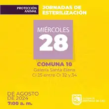 Jornadas de esterilización Comuna 10 – Galería Santa Elena Cl 25 entre Cr 32 y 34 