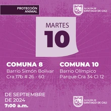 Jornadas de Esterilización  10/09/2024