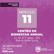 Jornadas de Esterilización  11/09/2024