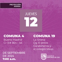 Jornadas de Esterilización  12/09/2024