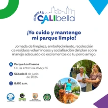Jornada ´Volvamos a mi Cali Bella´ 