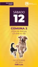 Jornada de Estetización - sábado 12 de octubre Comuna 2 Altos de Menga Calle 46N Avenida 8B