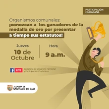 Organismos comunales 