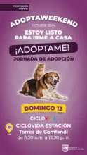 Jornada de adopción 13 de octubre 2024 his