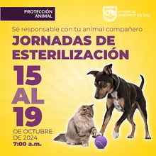Jornada de esterizacion 15 al 19 de octubre de 2024