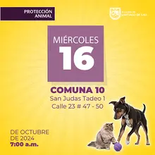 Jornada de estetización 16 de octubre de 2024