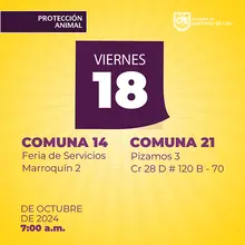 Jornada de estetización 18 de octubre de 2024
