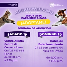 Jornadas de adopción  14/09/2024