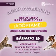 Jornada de adopción 19 de octubre de 2024 