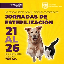 Jornadas de Esterilización 21 - 26 de octubre de  2024