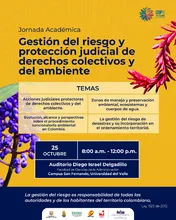 Gestión del riesgo y protección judicial de derechos colectivos y del ambiente