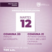 Jornada de esterilización 12 de noviembre de 2024