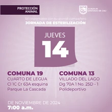Jornada de esterilización 14 de noviembre de 2024