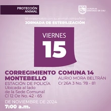 Jornada de esterilización 15 de noviembre de 2024