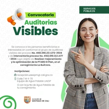 Convocatoria de Auditorías Visibles