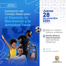 Elección e instalación del Consejo Asesor para el Deporte, la Recreación y la Actividad Física de Santiago de Cali