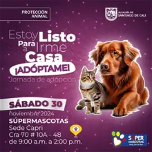 Jornada de adopción 30 de noviembre de 2024