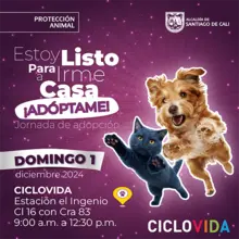 Jornada de adopción 1 de diciembre de 2024
