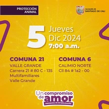 Jornada de esterilización 5 de diciembre de 2024